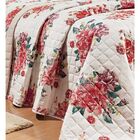 Cobre Leito Casal Queen Versátil 03 Peças Estampado Df 100% A