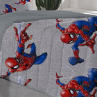 Cobre Leito Portallar Solteiro Misto Marvel Homem Aranha Mesc
