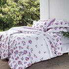 Cobreleito 2pc Solteiro Innovi Linda Kacyumara