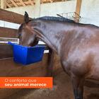 Cocho Para Animal 15l Azul Gplas