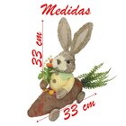 Coelho De Páscoa Enfeite Decorativo Coelhinho Carro De Cenour