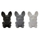 Cofrinho Bulldog Sentado - 3 Cores Branco