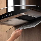 Coifa de Parede Fischer 60cm Preto e Inox com Vidro 4 Bocas com Timer Talent Touch 16741 127V (110V)