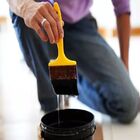 Cola Papel De Parede Rápida Diluição 500g - Homeney