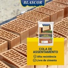 Cola Para Tijolos Argamassa De Assentamento Pronta Para Uso C