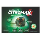 Cola Pega Rato Citromax Não Tóxico Unidade