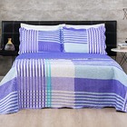 Colcha Anna Casal Queen 03 Peças Tecido Dupla Face Microfibra