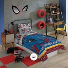 Colcha Matelassê Dupla Face Solteiro Spider Man Lepper