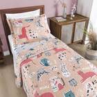 Colcha Solteiro Bouti Kids Dupla Face Estampado 2 Peças - Gat
