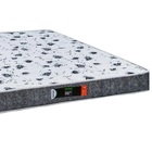 Colchão Casal Espuma D28 Confort Max Resistente 14x138x188
