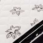 Colchão Casal Molas Nanolastic Physical Spring Black (23x138x