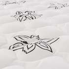 Colchão Casal Molas Nanolastic Physical Spring Black (23x138x