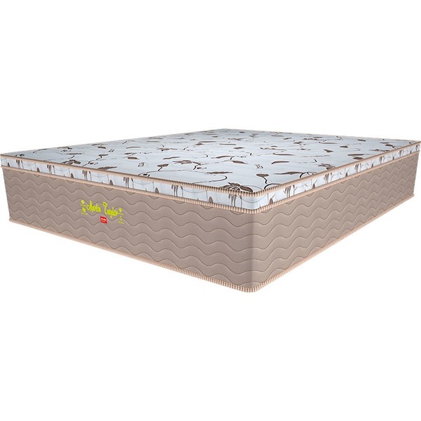 Colchão Casal Pillow Top Martin Taylor Plw Euro - Pelmex - Br