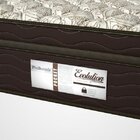 Colchão Casal Probel Molas Bonnel Evolution 28x 188x 138cm Be