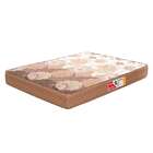 Colchão Casal Turquesa Espuma D33 (18x128x188) Marrom