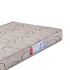 Colchão Infantil Mini Cama Pro Life D20 -70 x 150 x 12