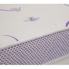 Colchão Infantil Physical Resist Liso Com Espuma D20 (12x70x1