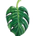 Colchão Inflável Para Piscina Boia Divertida Gigante Folha Pa