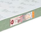 Colchão Liso Casal Castor Espuma D33 Sleep Max 18cm Verde 138