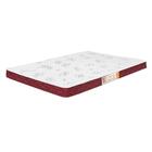 Colchão Liso Queen Size Castor Espuma D20 Sleep Max 12 Cm Vin
