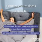 Colchão Queen D28 25cm -  E Hipoalergênico Com 5 Anos De Gara