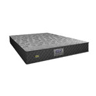 Colchao Queen Gazin Composto Sonopro 158x198x18