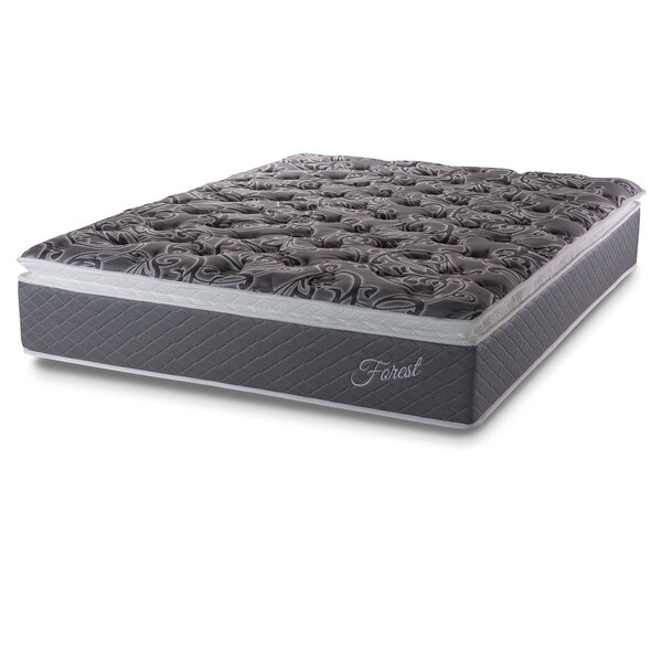 Colchão Queen Hellen Molas Ensacadas Forest Master 35x 198x 1