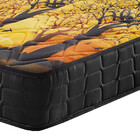 Colchão Queen Size Espuma D70/d28 Atlanta Amarelo 158x198x17c