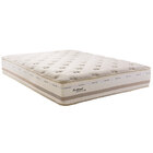 Colchão Scotland Molas Maxspring Herval Queen