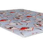 Colchão Solteiro 78x188x6 Colchonete Espuma D20 Sereno U01  -