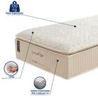 Colchão Solteiro 88x188x36 Prorelax Látex Firm Molas Ensacada