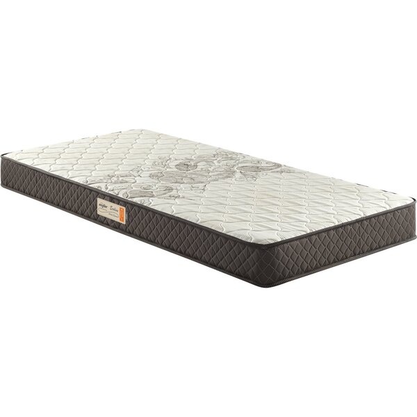 Colchão Solteiro D33 Bordado 088x188x17cm Ecoline Ecoflex Marrom ...