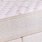 Colchão Solteiro Espuma D45 Minaspuma Celebrate Ii 100x200x25