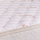 Colchão Solteiro Espuma D45 Minaspuma Celebrate Ii 100x200x25