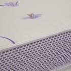 Colchão Solteiro Physical Resist Liso Com Espuma D20 (12x78x1