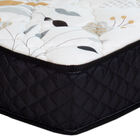 Colchão Solteiro Prorelax Espuma D-33 Turquesa Double Face 88