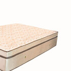 Colchão Solteiro Prorelax Molas Ensacadas Mediterraneo 36x 18