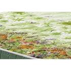 Colchão Viúva Espuma D70/d28 Pantanal 128x188x17 Dupla Face B