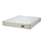 Colchão Viuvo De Espuma D45 Suede Cor Café C Leite 1.28x1.88