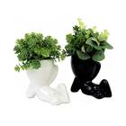 Coleção 2 Vasos Robert Plant Em Porcelana White & Black