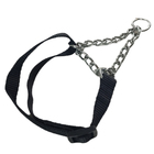 Coleira 1.5cm Guia Elo Torcido Corrente Enforcador Ajustavel