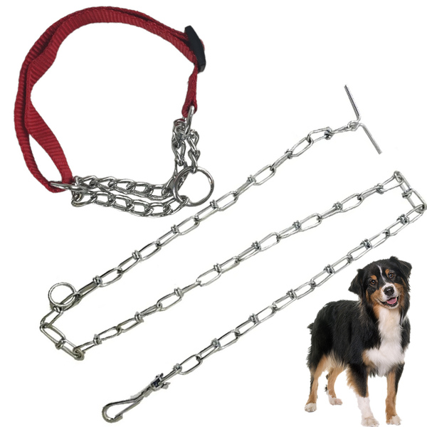 Coleira Ajustavel Cachorro Dog Cao Guia Passeio Semi Enforcad