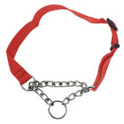 Coleira Ajustavel Caes Cachorros 2.0cm Corrente Semi Enforcad