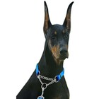 Coleira Cachorro Guia Semi Enforcadora Corrente Ajustavel 2.0