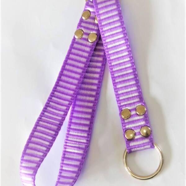 Coleira Cachorro Smooty Pet Enforcador M Listrada - 1 Lilás/b