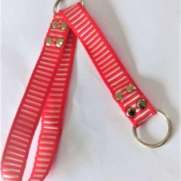 Coleira Cachorro Smooty Pet Enforcador M Listrada - 1 Vermelh