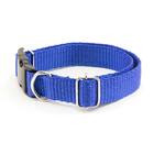 Coleira Cachorro Smooty Pet M Lisa Azul