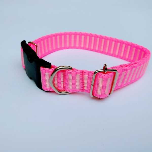 Coleira Cachorro Smooty Pet M Listrada - 1 Rosa Neon/branco