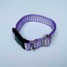 Coleira Cachorro Smooty Pet M Listrada Lilás/branco