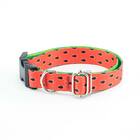 Coleira Cachorro Smooty Pet Melancia M